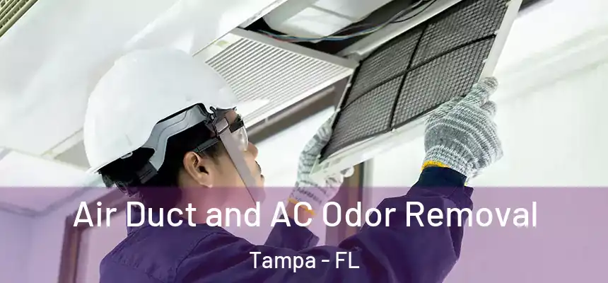 Air Duct and AC Odor Removal Tampa - FL