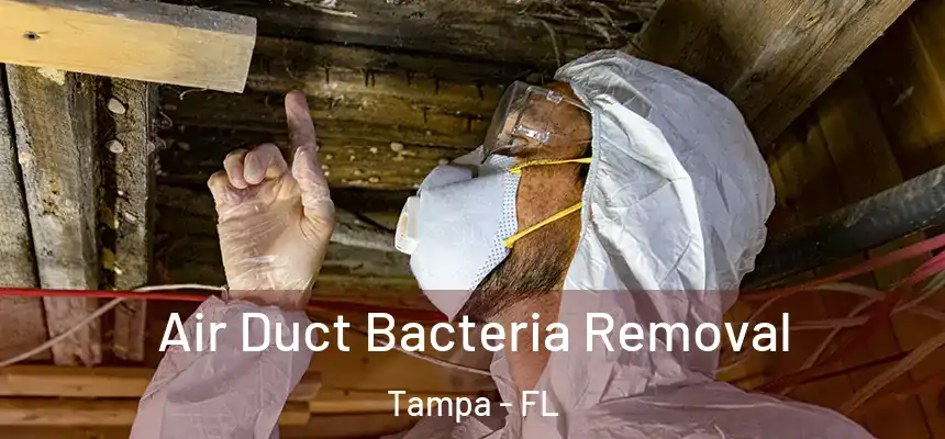 Air Duct Bacteria Removal Tampa - FL