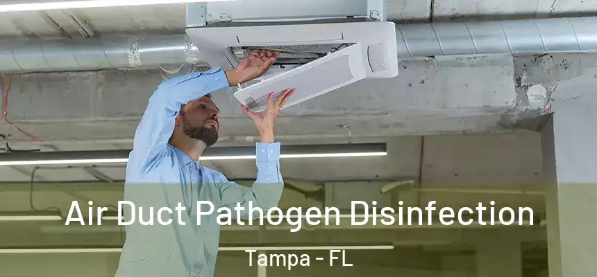  Air Duct Pathogen Disinfection Tampa - FL