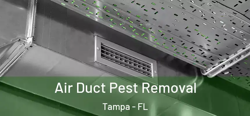 Air Duct Pest Removal Tampa - FL