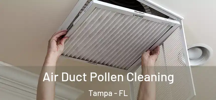 Air Duct Pollen Cleaning Tampa - FL