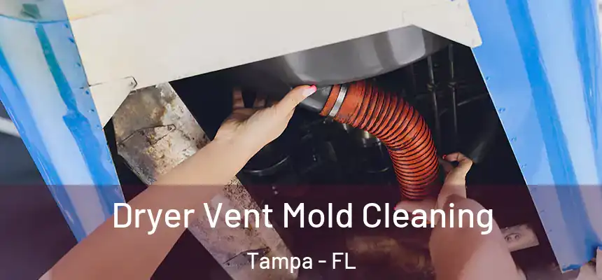 Dryer Vent Mold Cleaning Tampa - FL