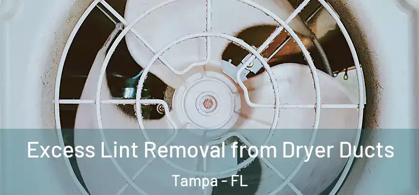 Excess Lint Removal from Dryer Ducts Tampa - FL
