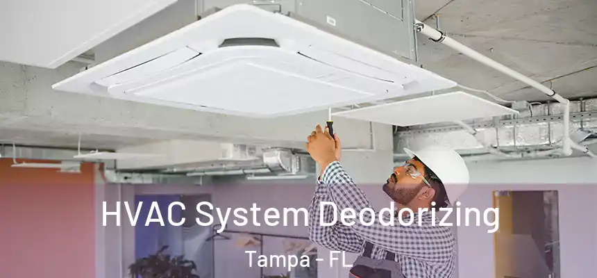  HVAC System Deodorizing Tampa - FL