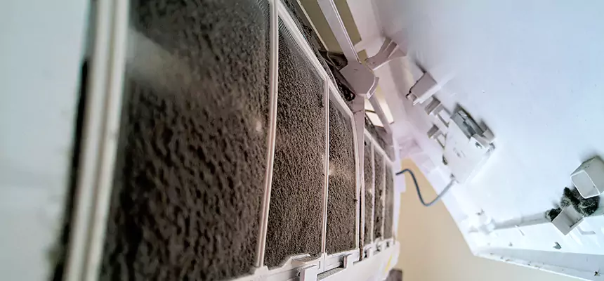 Preventive Air Duct Bacteria Removal in Tampa