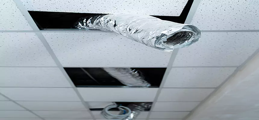 Affordable HVAC Sanitizing After Pest Removal in Tampa