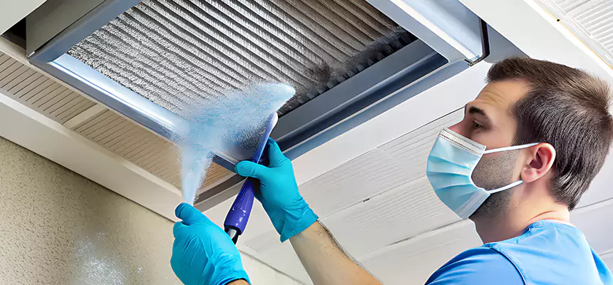 Proactive Dryer Vent & Auxiliary Duct Pollen Cleanup in Tampa, FL