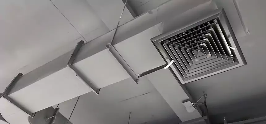 Restorative Allergy Relief Vent Cleaning – Coil, Blower & Housing Detail in Tampa