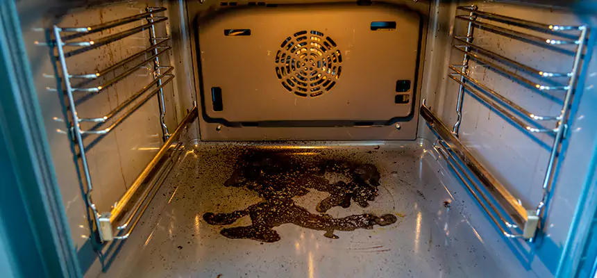 Our Dryer Vent Mold Cleaning Services in Tampa, FL