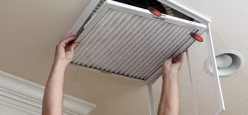 Our Insect Removal from Air Ducts Services in Tampa, FL