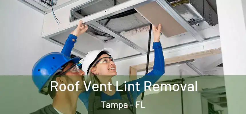 Roof Vent Lint Removal Tampa - FL