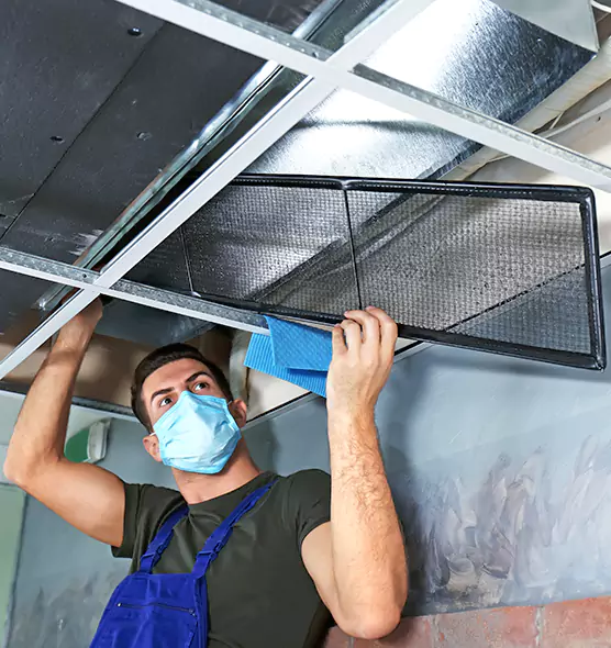 About Air Duct Bacteria Removal in Tampa