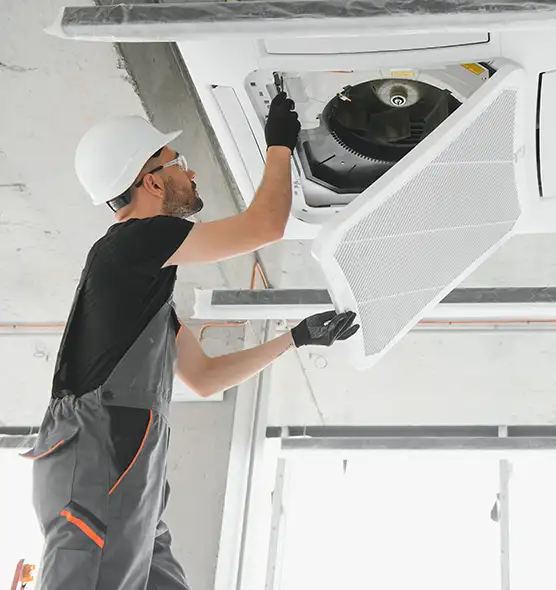 About Air Duct Rodent Removal in Tampa, FL