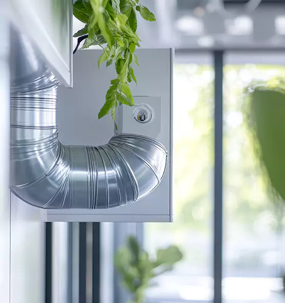 Professional Eco-Safe Dryer Vent Cleaning in Tampa, FL