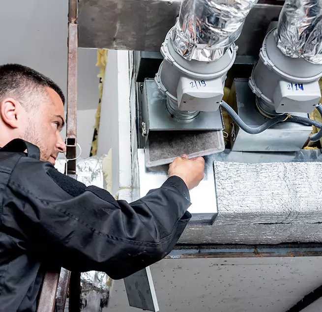 Why Homeowners & Businesses Trust Us in Tampa, FL?