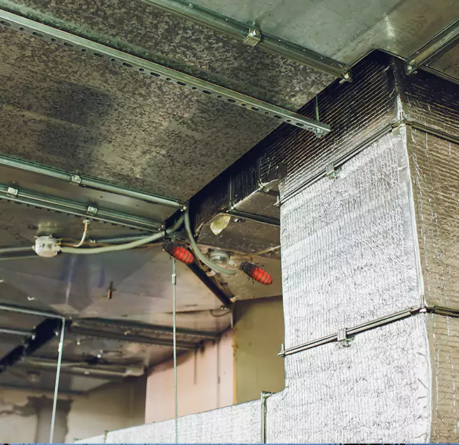 Why Homeowners & Businesses Trust Us in Tampa, FL?