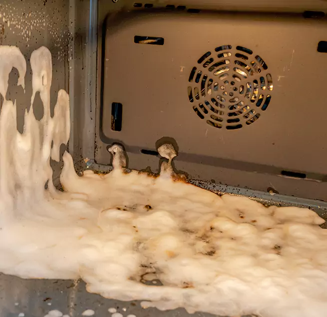 Why Homeowners Businesses Trust Us in Tampa, FL?