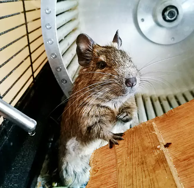 Why Homeowners & Businesses Trust Us Tampa, FL?