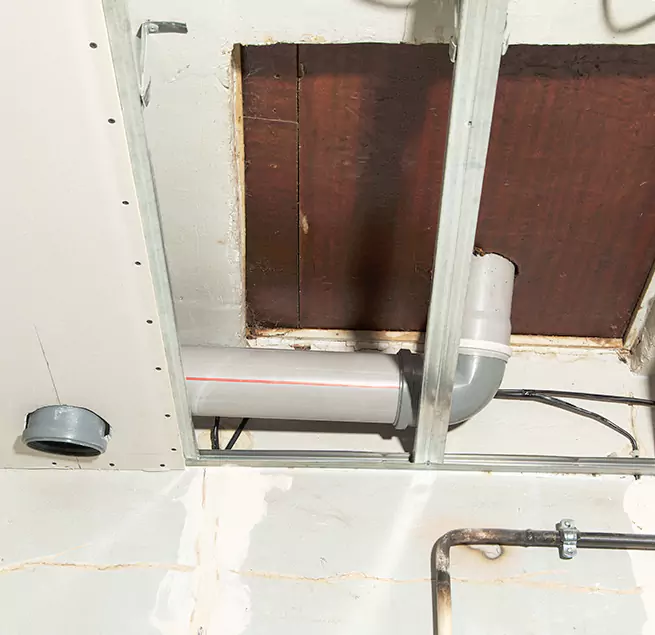 Why Homeowners & Businesses Trust Us in Tampa, FL?