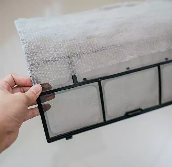 Why Homeowners & Businesses Trust Us in Tampa, FL?