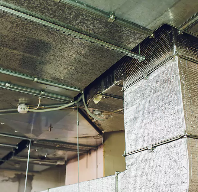 Why Homeowners & Businesses Trust Us in Tampa, FL?