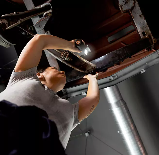 Why Homeowners & Businesses Trust Us Tampa, FL