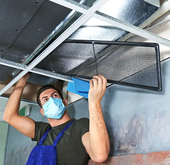 Why Homeowners & Businesses Trust Us in Tampa, FL?