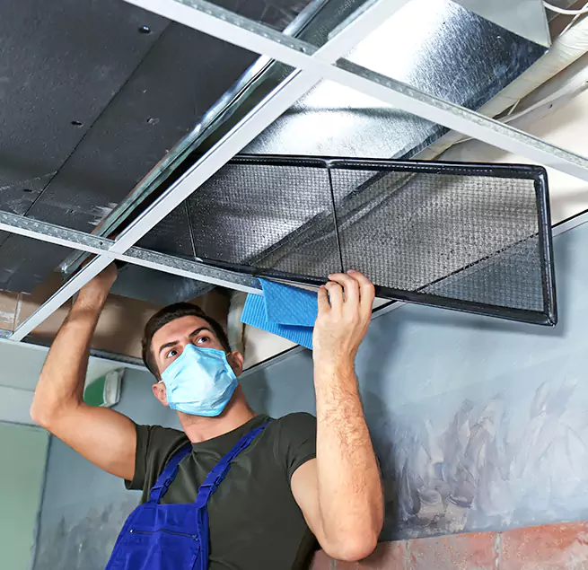  Why Homeowners Businesses Trust Us  in Tampa, FL?