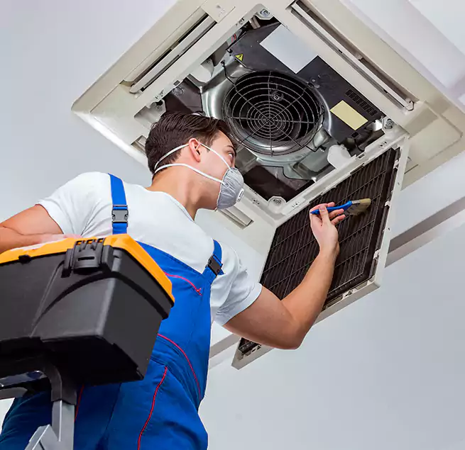 Why Homeowners & Businesses Trust Us in Tampa, FL?